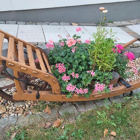 Ferienwohnung Bittner Klitten المظهر الخارجي الصورة