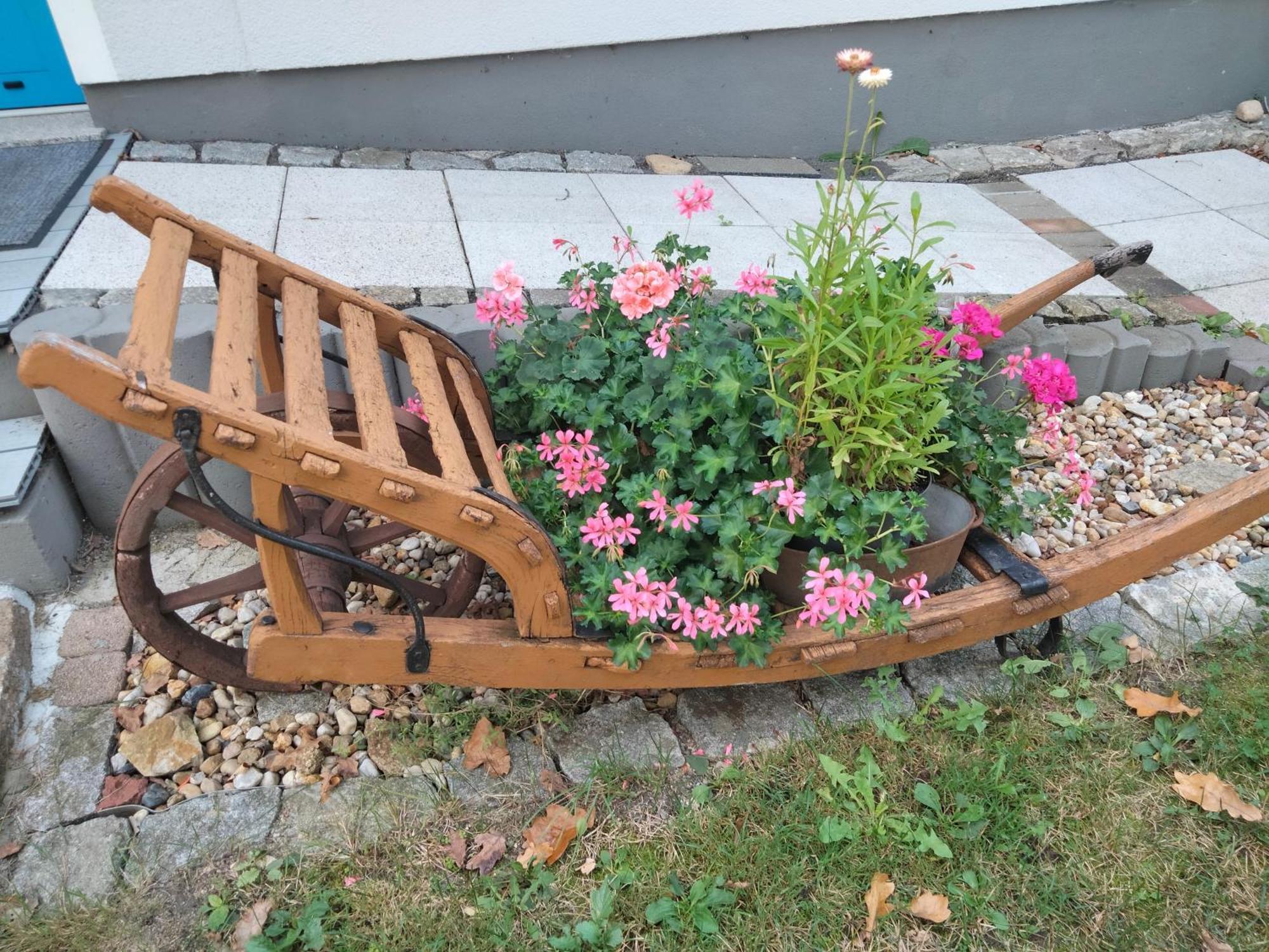 Ferienwohnung Bittner Klitten المظهر الخارجي الصورة